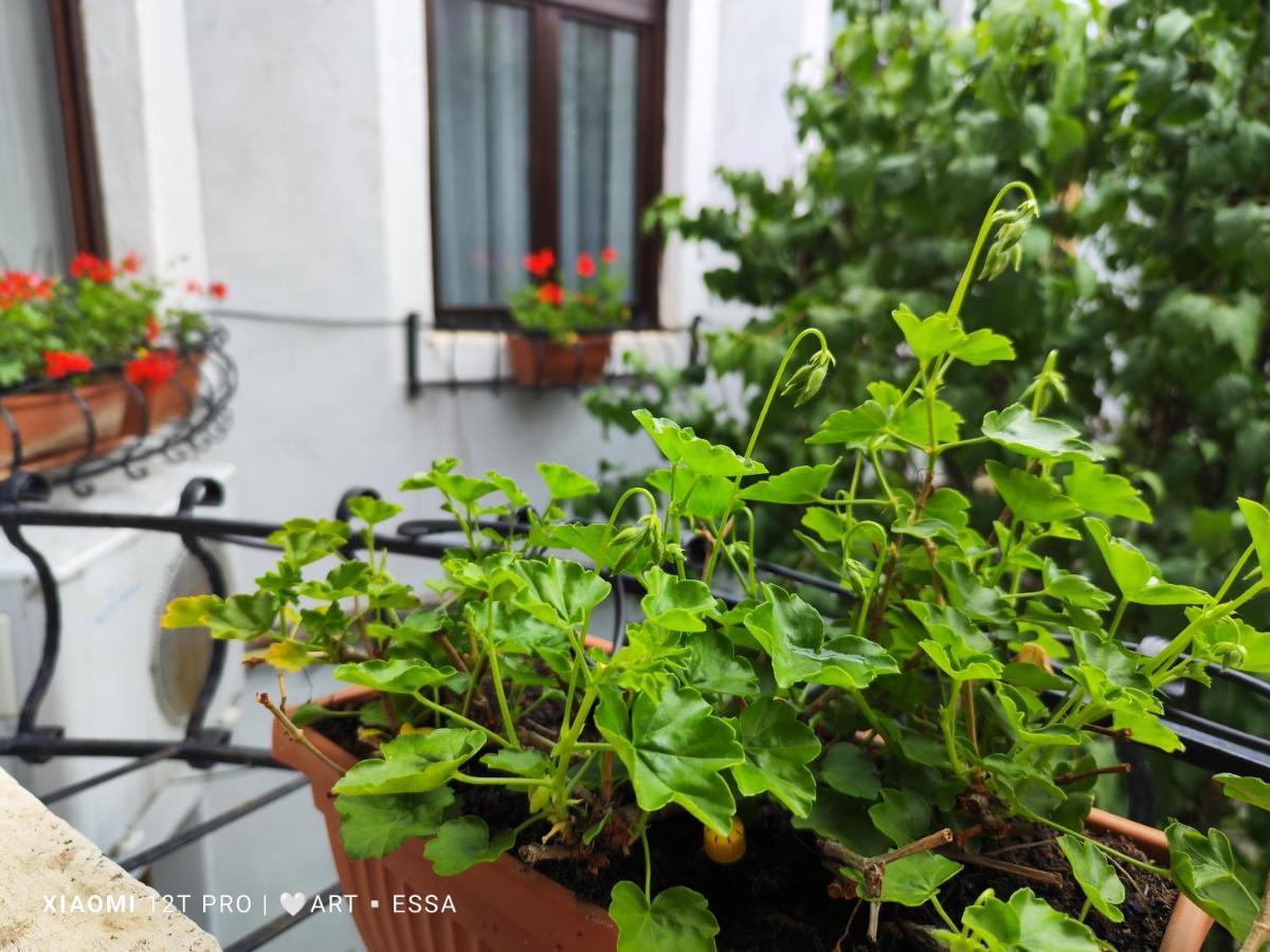 Apartament Buon Gusto,Near Main Square And Liar Bridge,Historical Side Of City Center Hermannstadt Exterior foto